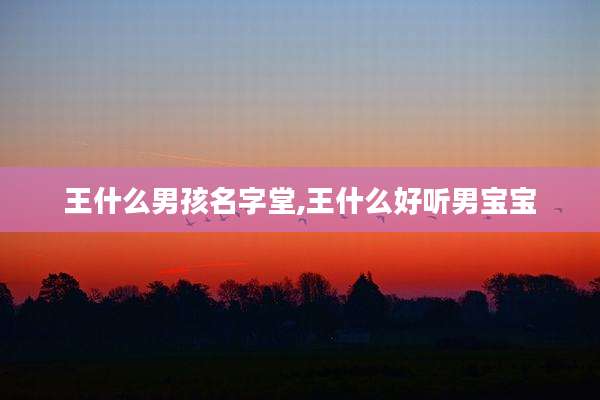 王什么男孩名字堂,王什么好听男宝宝