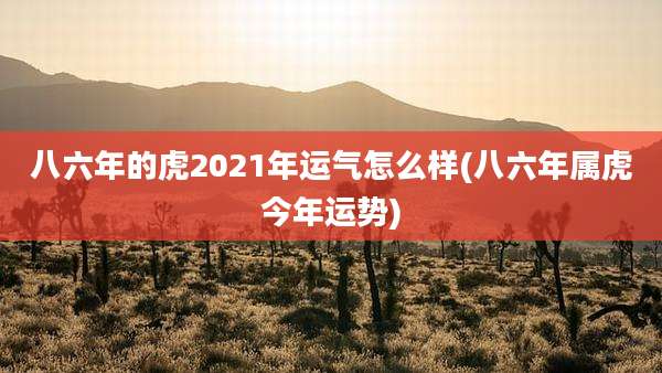 八六年的虎2021年运气怎么样(八六年属虎今年运势)
