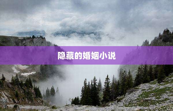 隐藏的婚姻小说