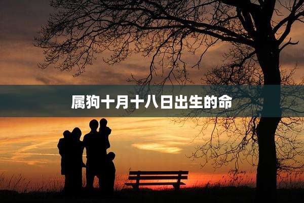 属狗十月十八日出生的命