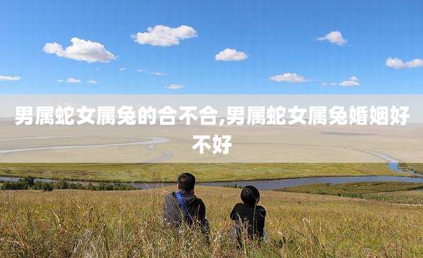男属蛇女属兔的合不合,男属蛇女属兔婚姻好不好