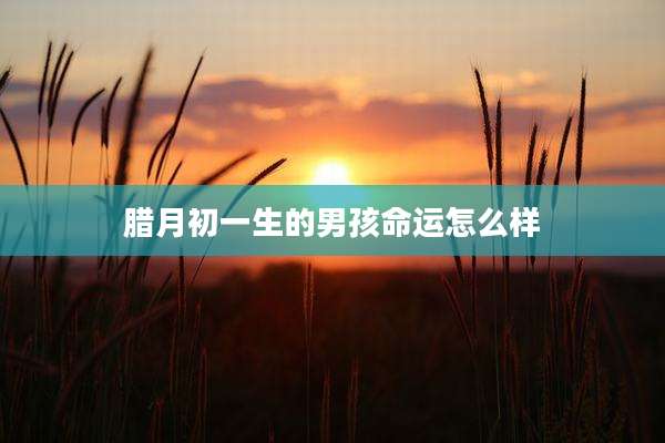 腊月初一生的男孩命运怎么样