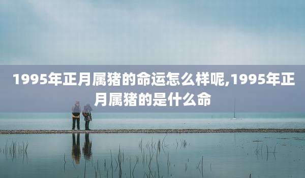 1995年正月属猪的命运怎么样呢,1995年正月属猪的是什么命