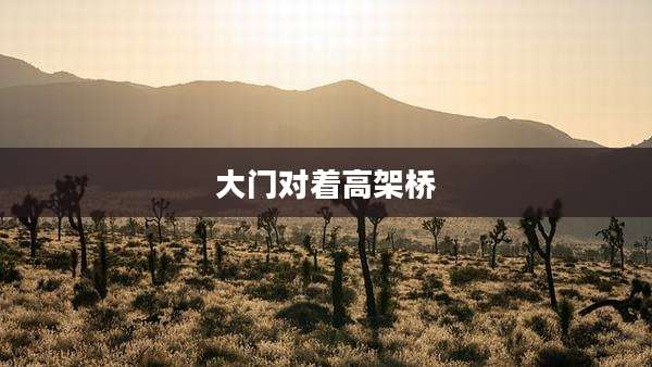 大门对着高架桥