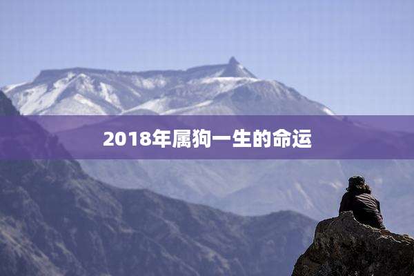 2018年属狗一生的命运