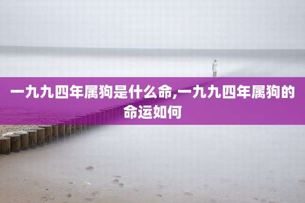 一九九四年属狗是什么命,一九九四年属狗的命运如何
