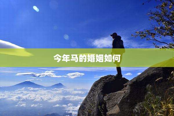 今年马的婚姻如何