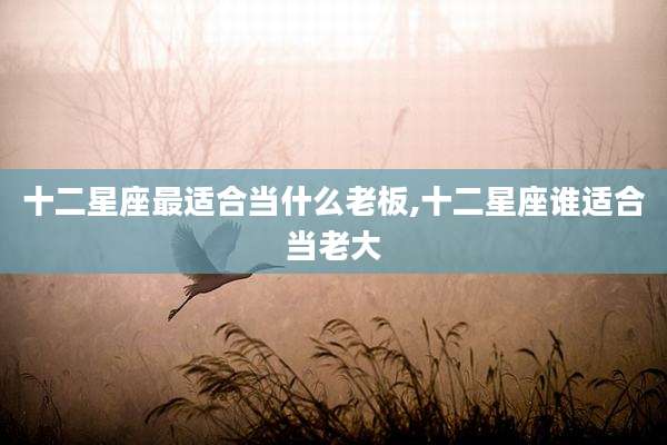 十二星座最适合当什么老板,十二星座谁适合当老大