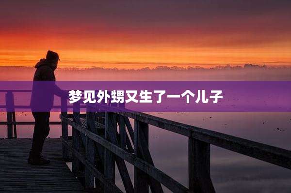 梦见外甥又生了一个儿子