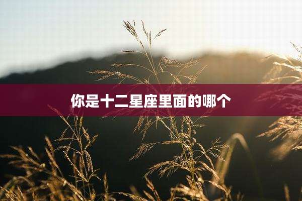 你是十二星座里面的哪个
