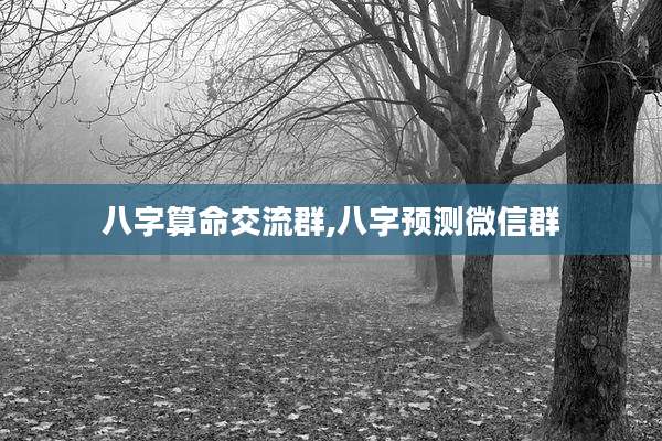 八字算命交流群,八字预测微信群