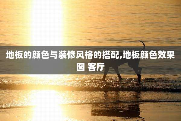 地板的颜色与装修风格的搭配,地板颜色效果图 客厅