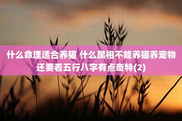 什么命理适合养猫 什么属相不能养猫养宠物还要看五行八字有点奇特(2)