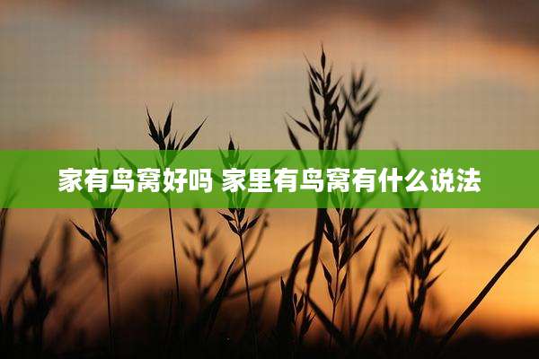 家有鸟窝好吗 家里有鸟窝有什么说法