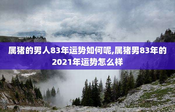 属猪的男人83年运势如何呢,属猪男83年的2021年运势怎么样