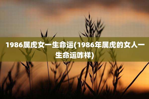 1986属虎女一生命运(1986年属虎的女人一生命运咋样)