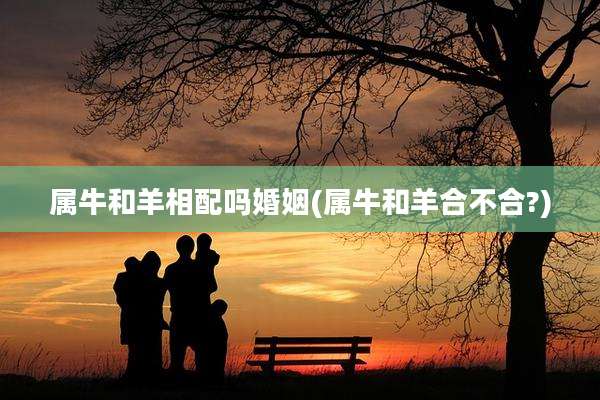 属牛和羊相配吗婚姻(属牛和羊合不合?)