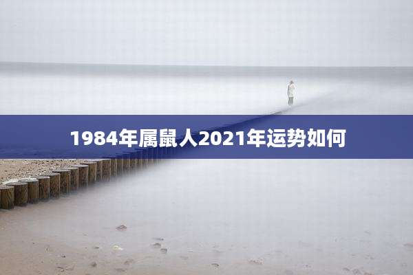 1984年属鼠人2021年运势如何