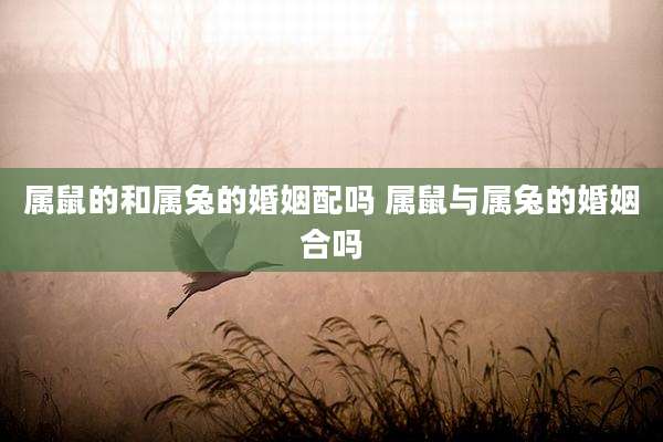 属鼠的和属兔的婚姻配吗 属鼠与属兔的婚姻合吗