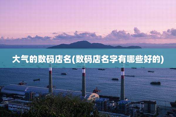 大气的数码店名(数码店名字有哪些好的)