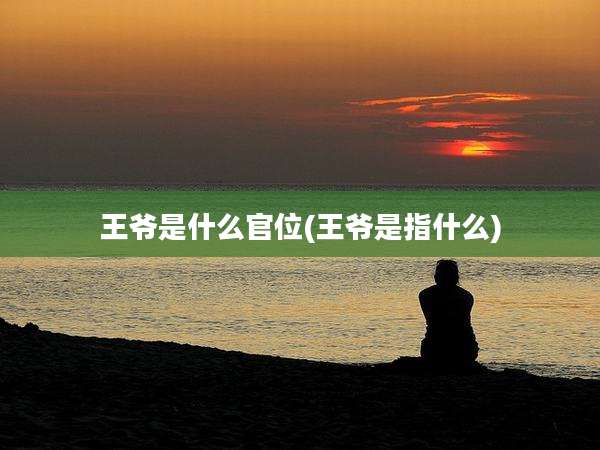王爷是什么官位(王爷是指什么)