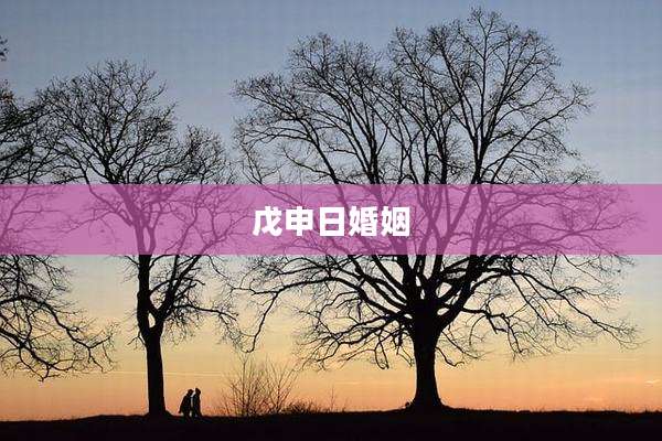 戊申日婚姻