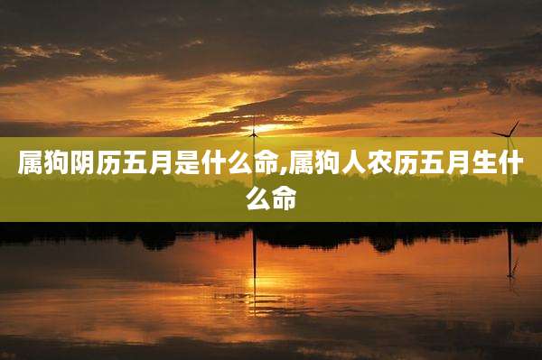 属狗阴历五月是什么命,属狗人农历五月生什么命