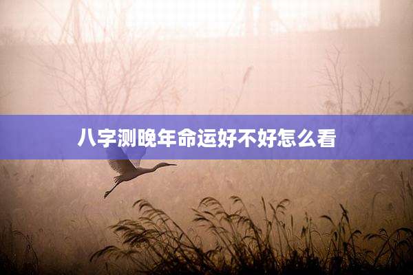 八字测晚年命运好不好怎么看