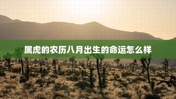 属虎的农历八月出生的命运怎么样