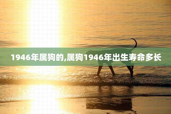 1946年属狗的,属狗1946年出生寿命多长