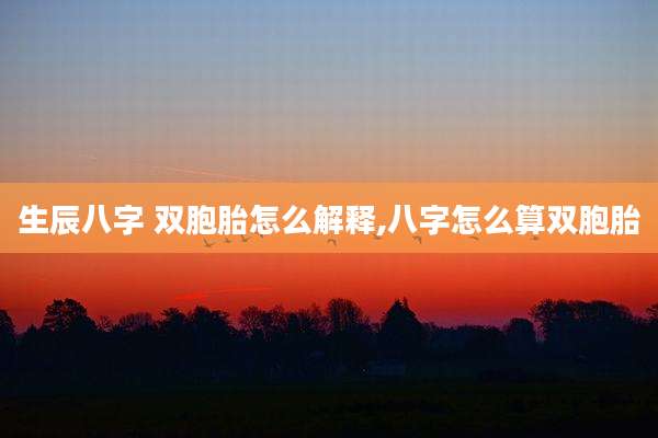 生辰八字 双胞胎怎么解释,八字怎么算双胞胎
