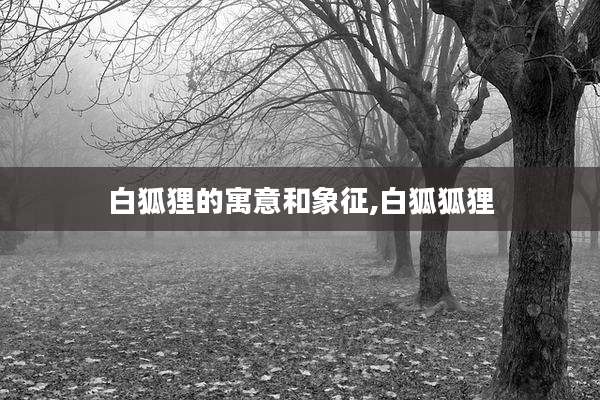 白狐狸的寓意和象征,白狐狐狸