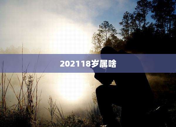 202118岁属啥