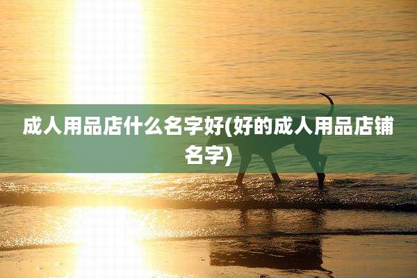 成人用品店什么名字好(好的成人用品店铺名字)
