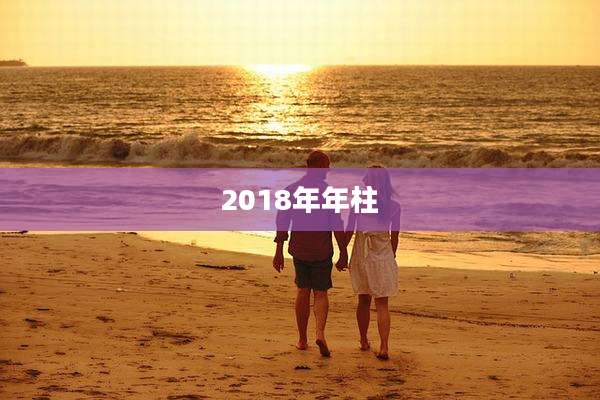 2018年年柱