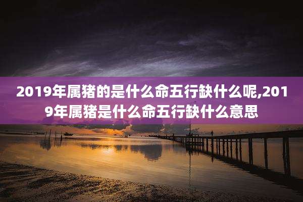 2019年属猪的是什么命五行缺什么呢,2019年属猪是什么命五行缺什么意思