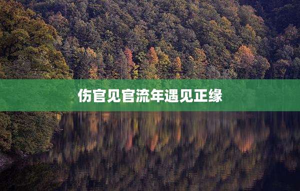 伤官见官流年遇见正缘