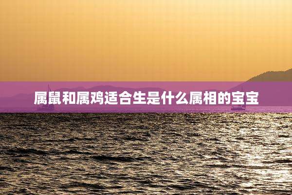 属鼠和属鸡适合生是什么属相的宝宝