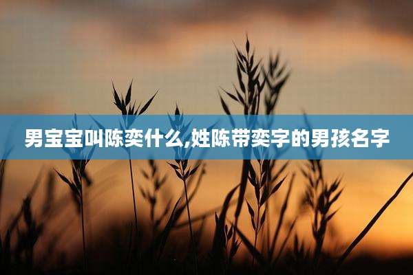 男宝宝叫陈奕什么,姓陈带奕字的男孩名字
