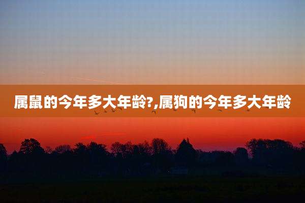 属鼠的今年多大年龄?,属狗的今年多大年龄