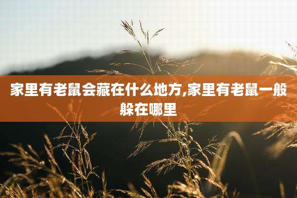 家里有老鼠会藏在什么地方,家里有老鼠一般躲在哪里