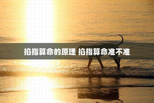 掐指算命的原理 掐指算命准不准