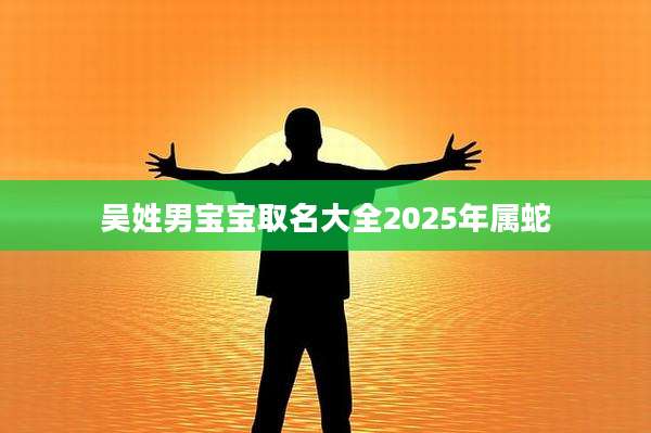 吴姓男宝宝取名大全2025年属蛇