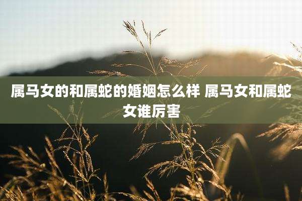 属马女的和属蛇的婚姻怎么样 属马女和属蛇女谁厉害