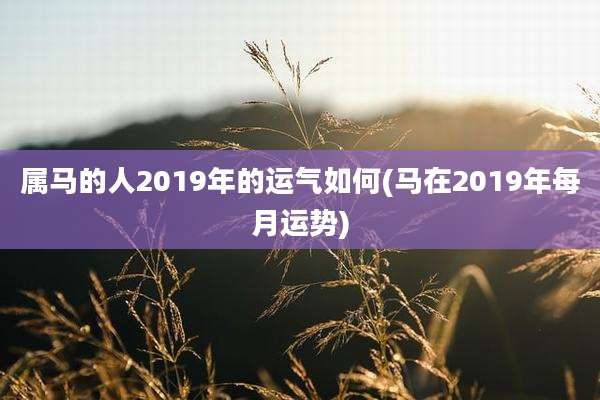 属马的人2019年的运气如何(马在2019年每月运势)