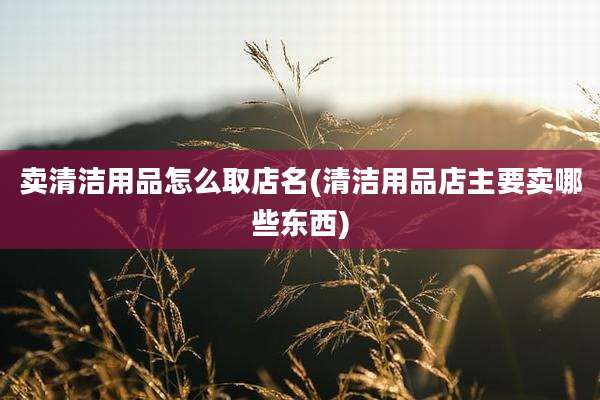 卖清洁用品怎么取店名(清洁用品店主要卖哪些东西)
