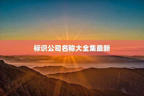 标识公司名称大全集最新