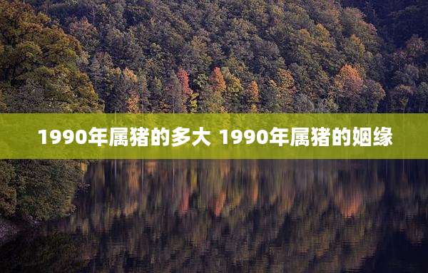 1990年属猪的多大 1990年属猪的姻缘