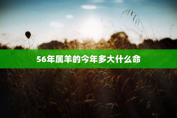 56年属羊的今年多大什么命