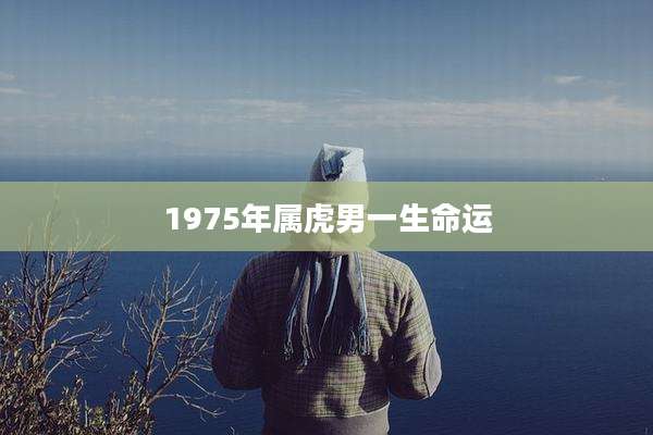 1975年属虎男一生命运